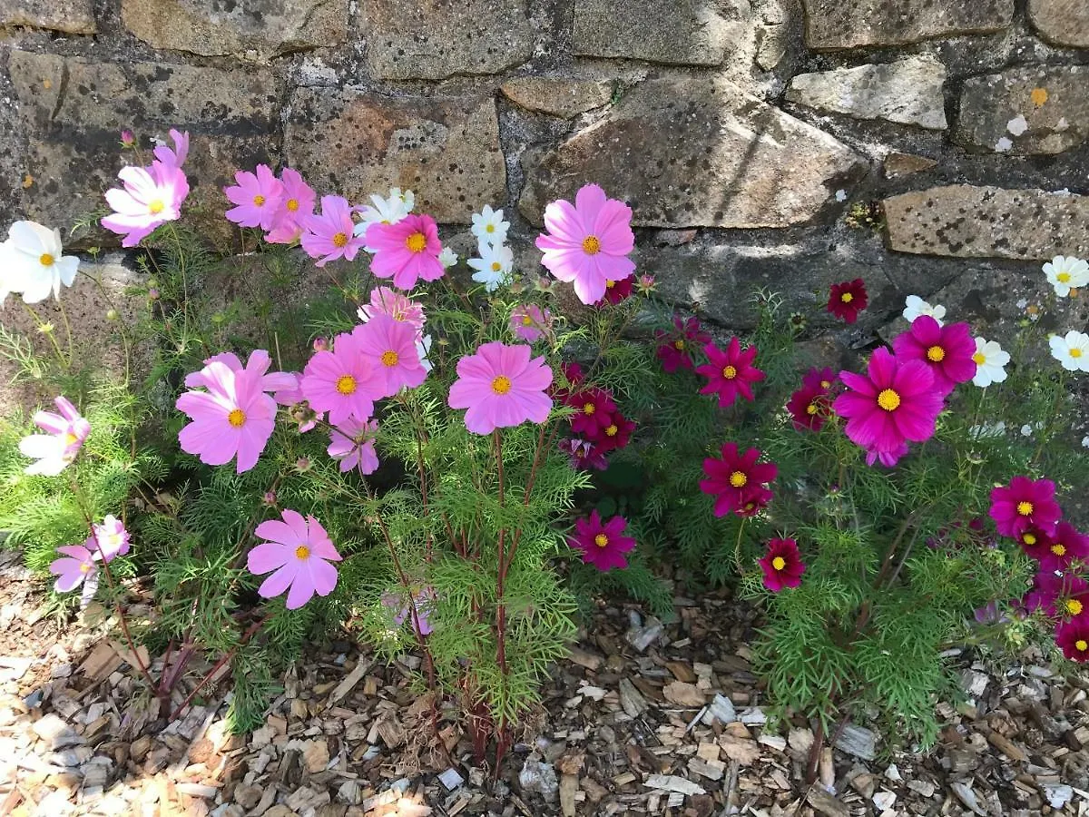 מלון Saint-Quay-Perros Manoir Des Petites Bretonnes