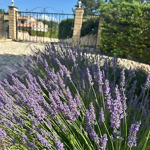  Apartment Les Clematites Frankreich